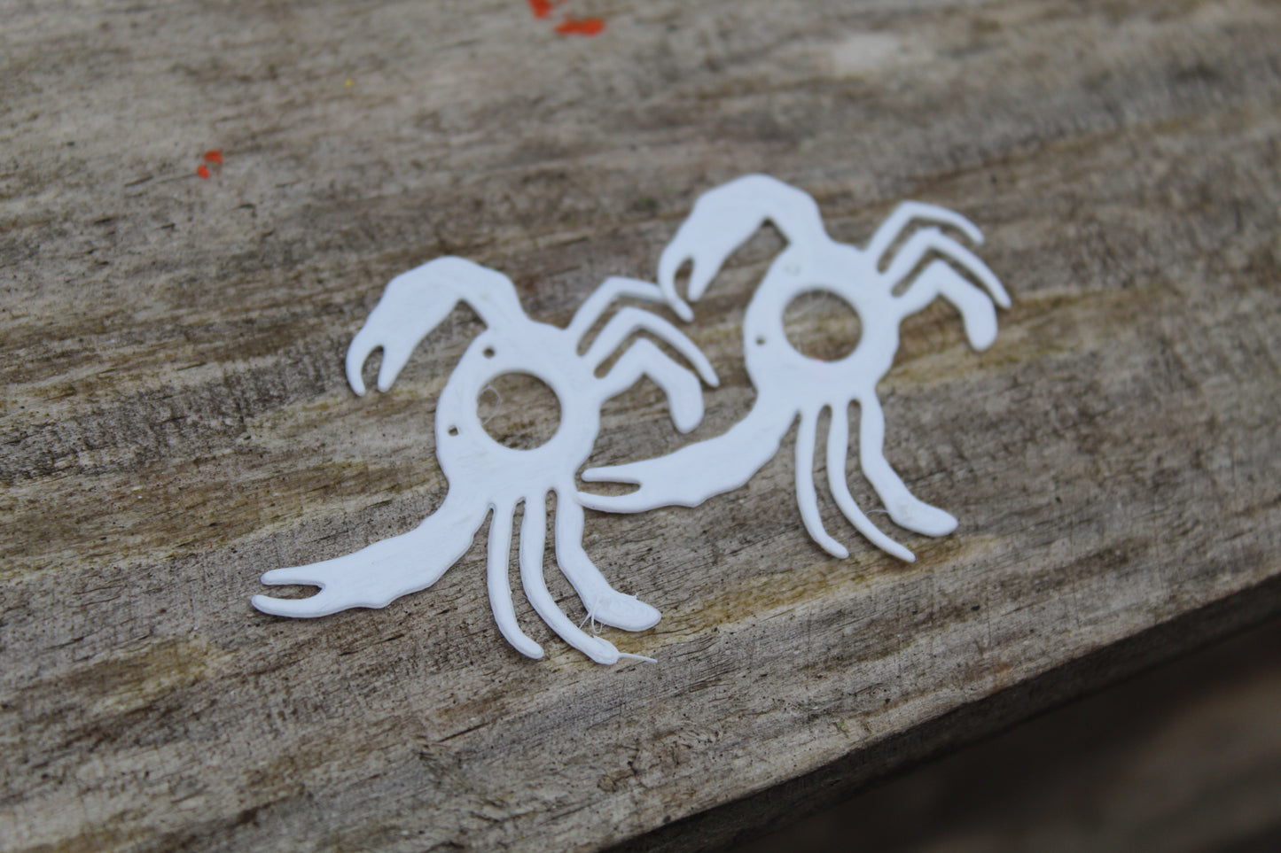 Fleeing Sargasso crab