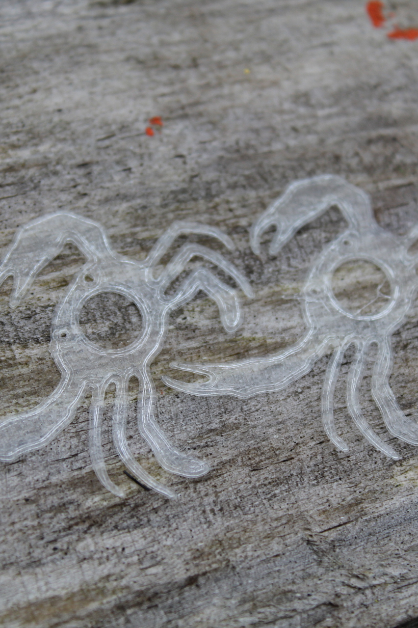 Fleeing Sargasso crab