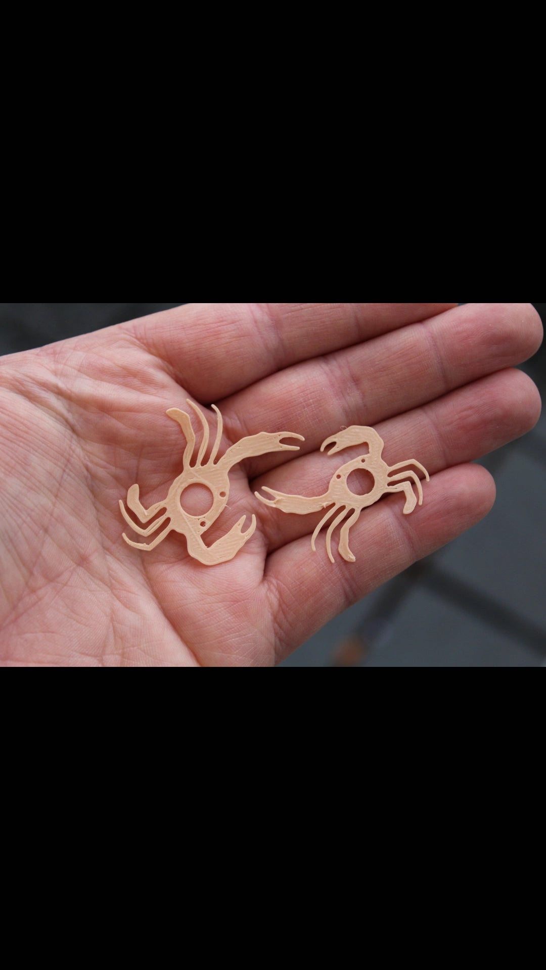 Fleeing Sargasso crab