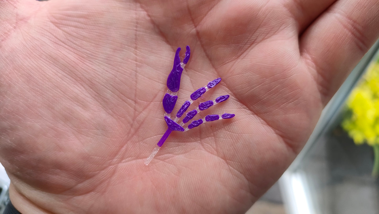 Arabian Fleeing Crab