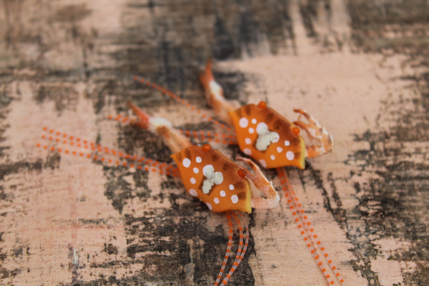 Floating Sargasso HSC And CC - Orange #4