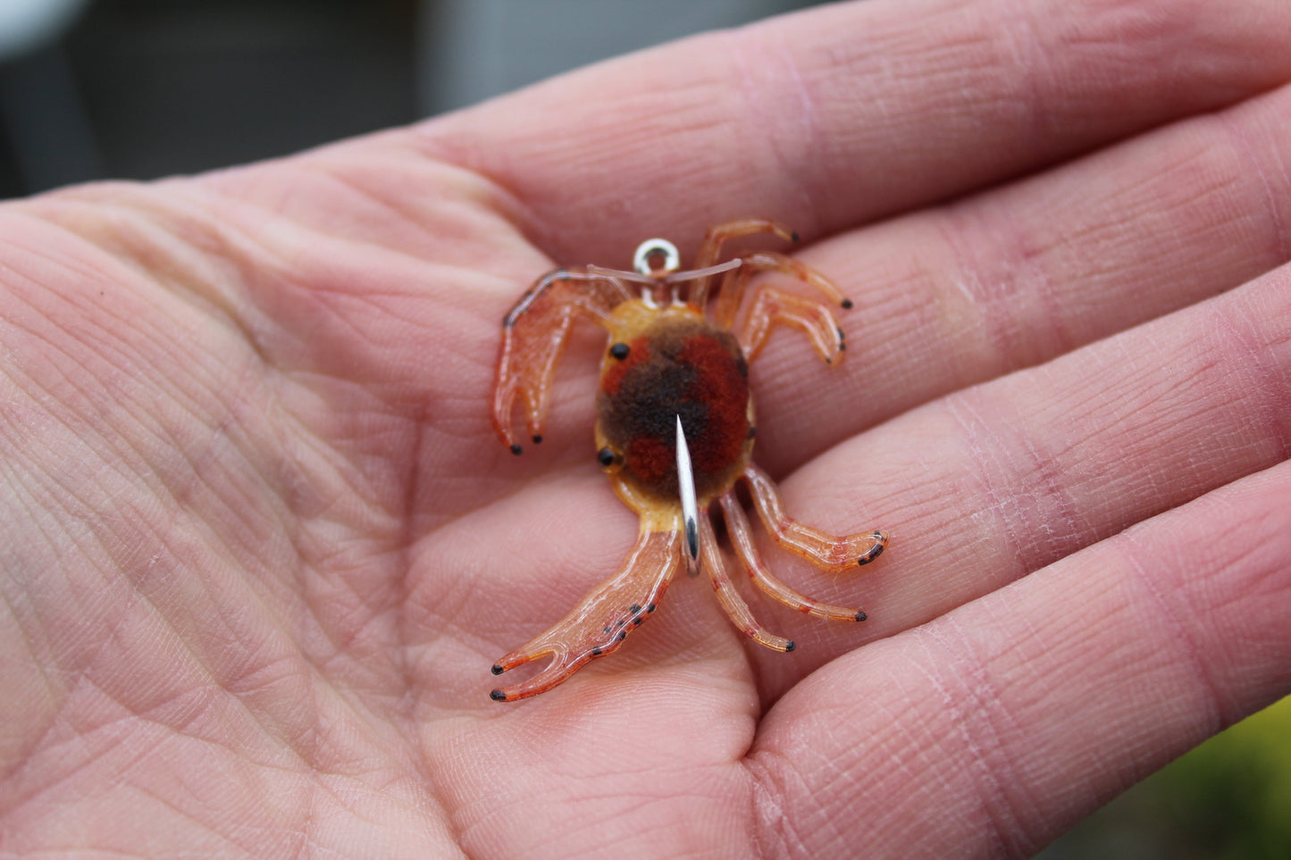 Fleeing Sargasso crab