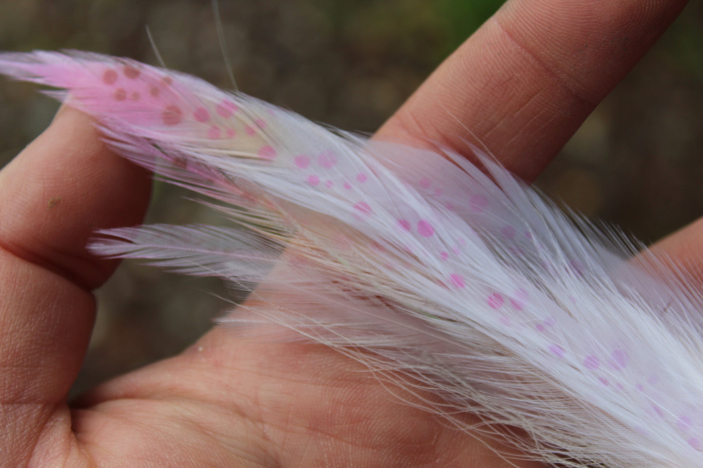 GT Semper Squid #5/0 SA270 -Tan Pink