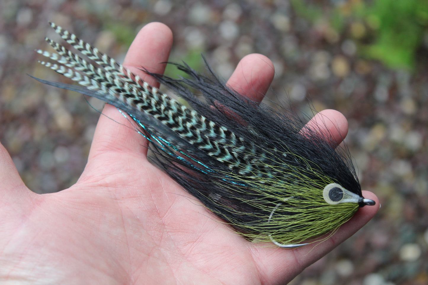 Bulk head hollow #5/0 SA270 -Olive /Black