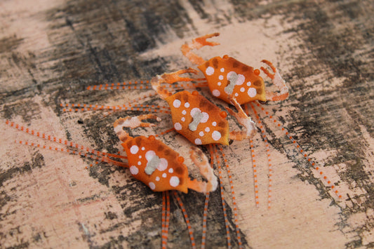 Floating Sargasso SC - Orange #4