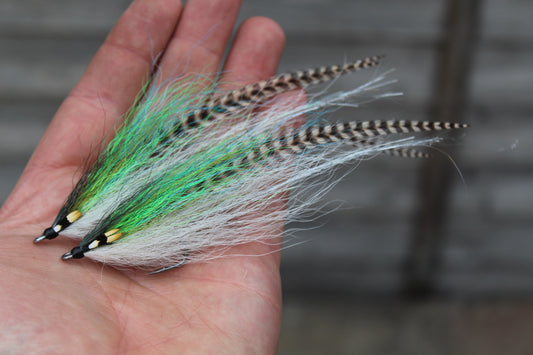 Mackerel Searcher #1 SA220