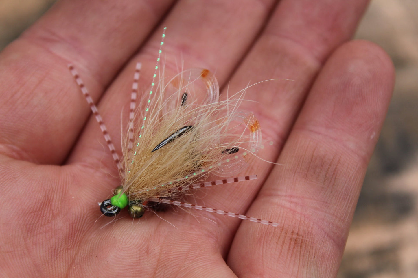 Curly tail Mantis- Tan #2