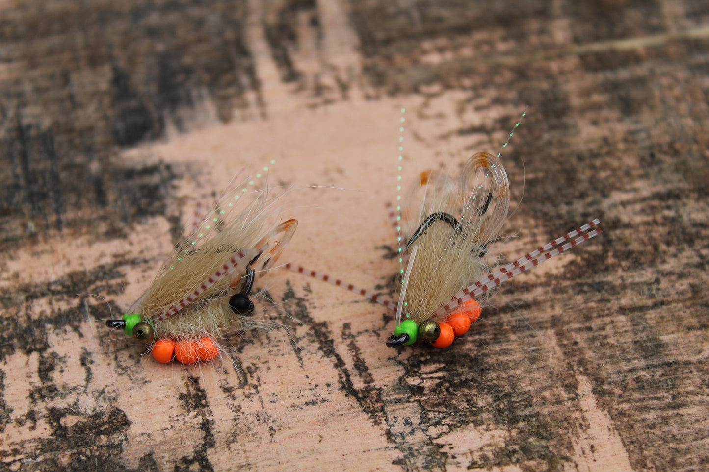 Curly tail Mantis- Tan #2