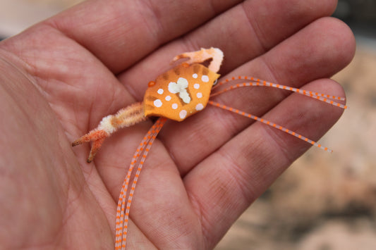 Floating Sargasso HSC And CC - Orange #4