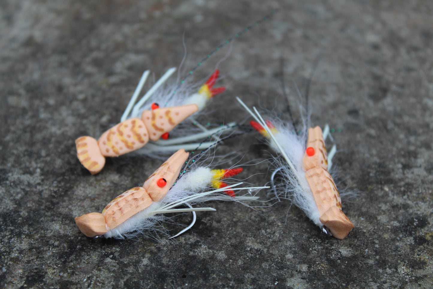 Popping tiger Strong Arm Shrimp #4