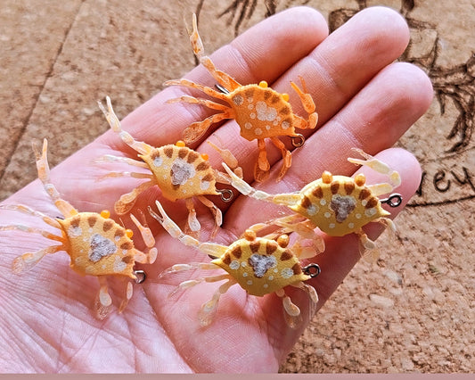 Set of 5 Floating Sargasso 3D - As pictured