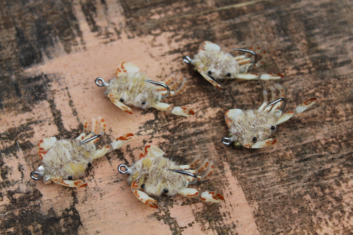 Danger Muffin Dab crab #4 |Tan and cream (Set of 5)