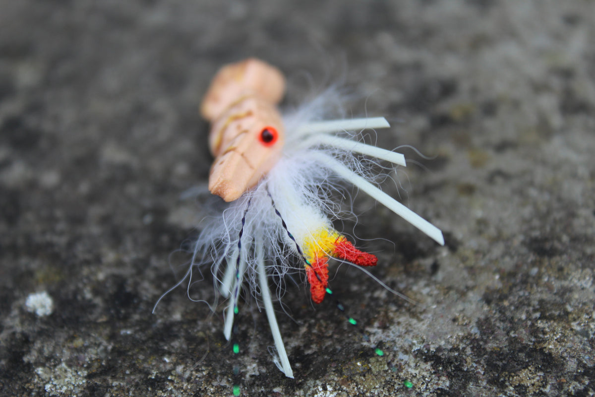 Popping tiger Strong Arm Shrimp #4