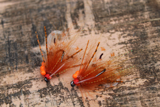 Curly tail Mantis- Orange #2