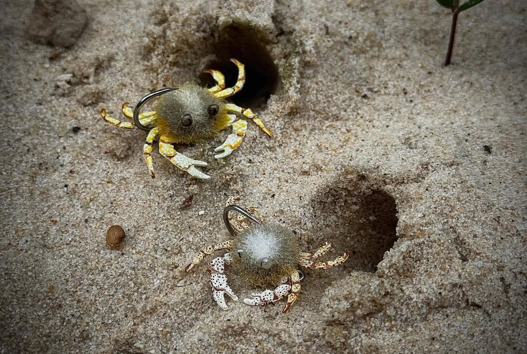 Busta crab