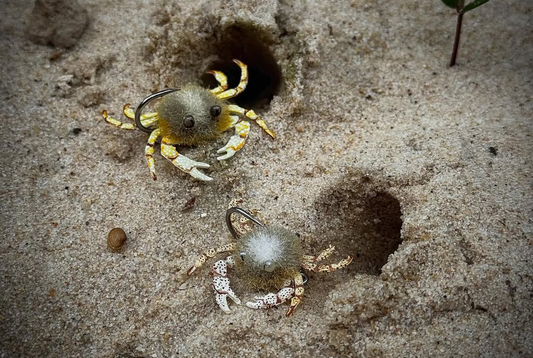 Busta crab
