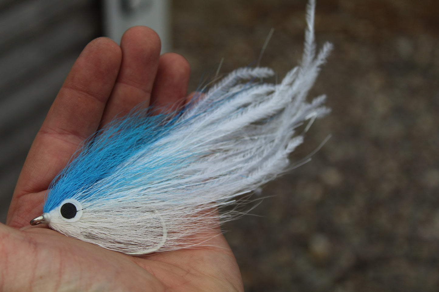 Blue Back Hollow #8/0 SL12