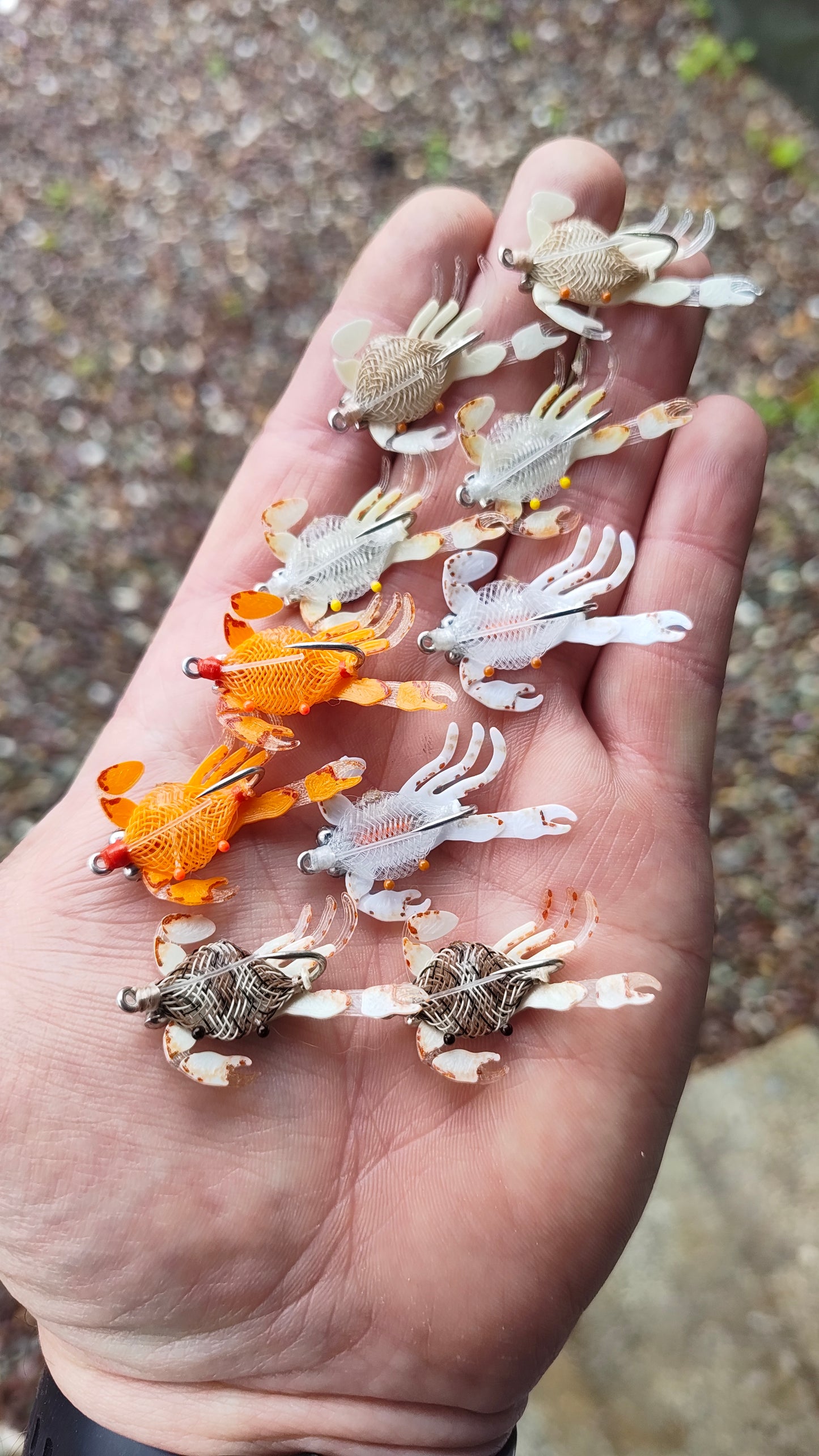 Dabbing crab
