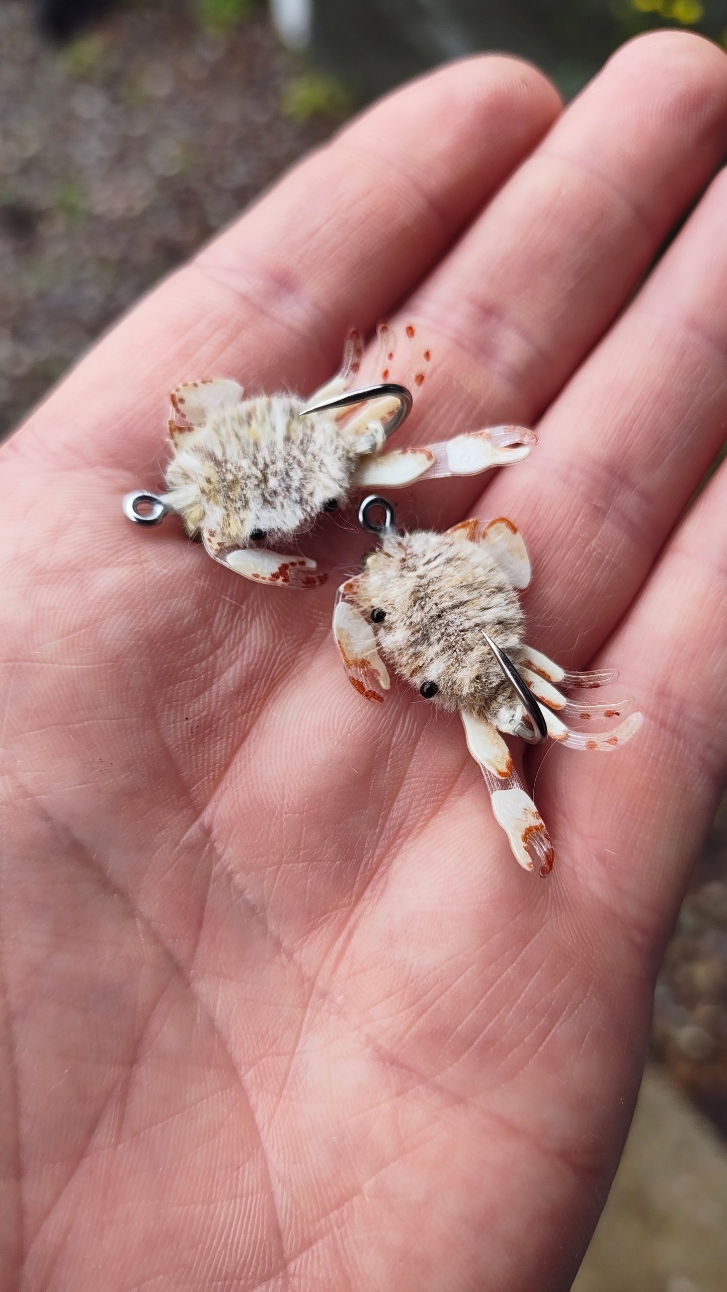 Dabbing crab